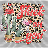 Valentine's Day-QRJ  6949